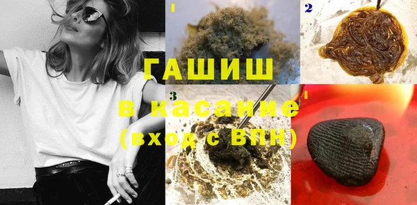 СК Алексин