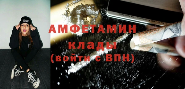 СК Алексин