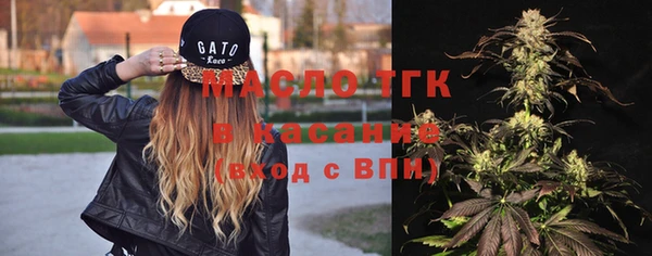 СК Алексин