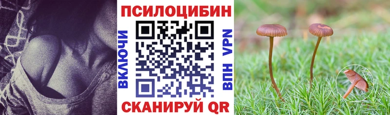 Псилоцибиновые грибы Psilocybe  блэк спрут маркетплейс  Обнинск 