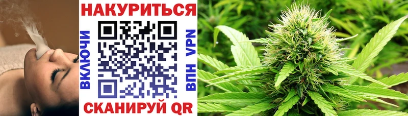 Бошки марихуана конопля Обнинск